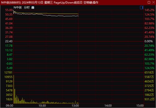 個(gè)股異動(dòng)觀察 基礎(chǔ)軟件服務(wù)板塊個(gè)股僅成交10萬(wàn)余元拉升超20%漲幅